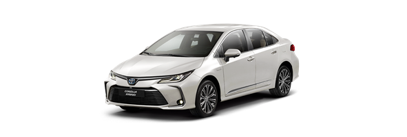Corolla 2013-2019