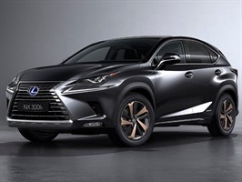 NX