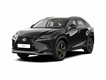 NX 2021-