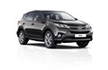 RAV-4