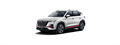 CS35 Plus New 2021-