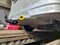 Фаркоп для Nissan Serena 16-22 - фото 70970 Фаркоп для Nissan Serena 16-22 - фото 70970