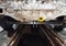 Фаркоп Halty для Toyota Spacio (кузов AE111N, AE115N) 2WD/4WD - фото 71185 Фаркоп Halty для Toyota Spacio (кузов AE111N, AE115N) 2WD/4WD - фото 71185